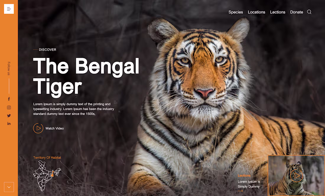 Cover image for WordPress Landing Page Design in Figma