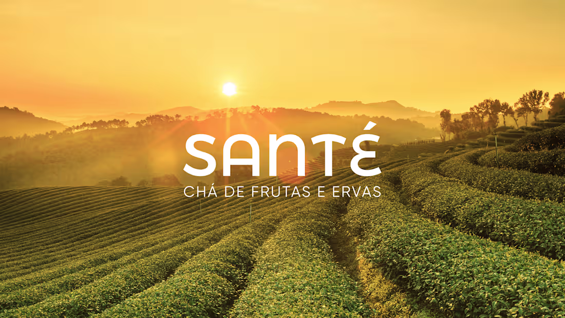 Cover image for Santé |  Fruits tea