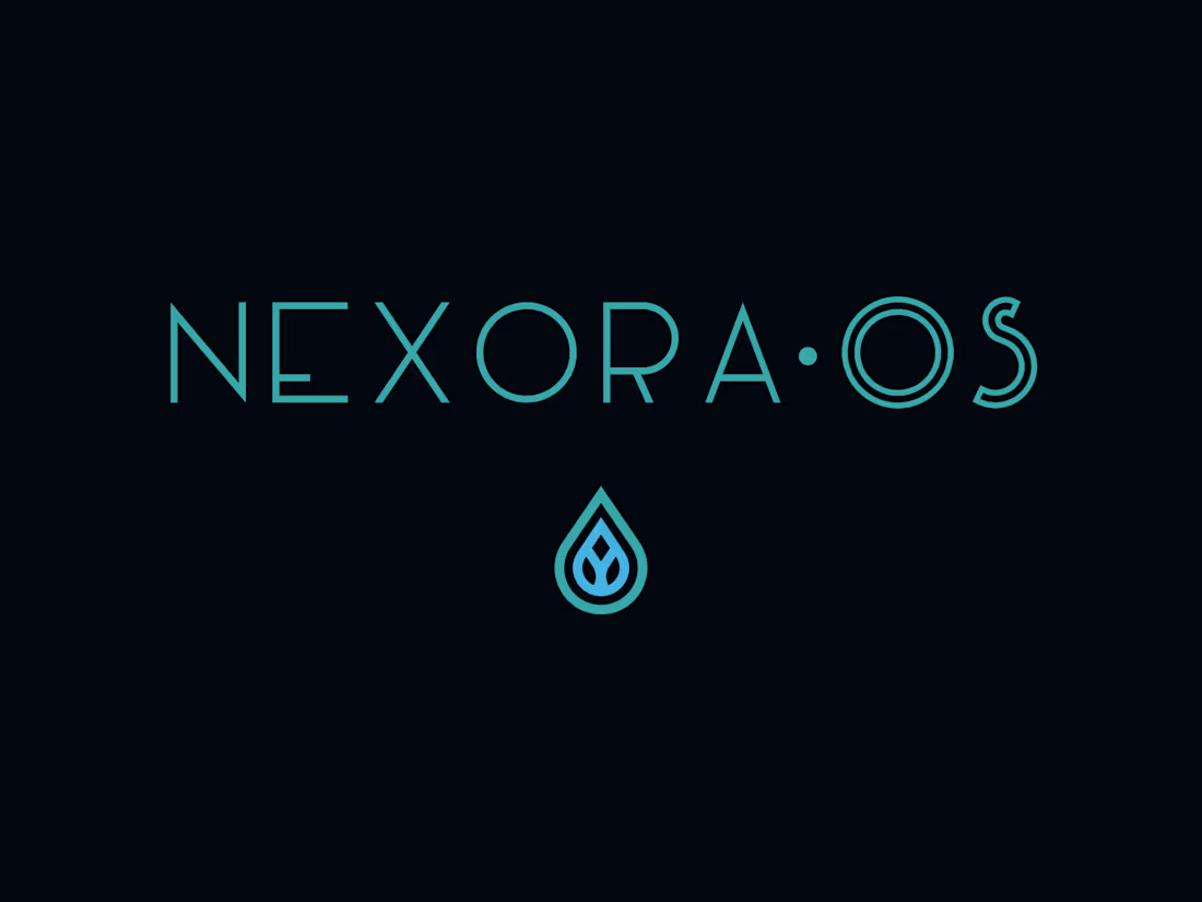 Cover image for Brand manual – NexoraOS