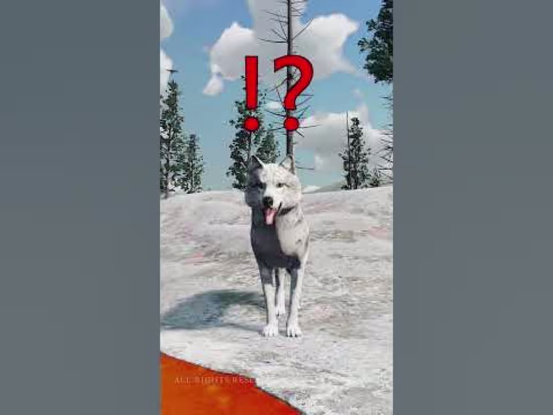 Cover image for You Can Drink WOLF SOUP? Hidden Achievement WolfQuest: Annivers…