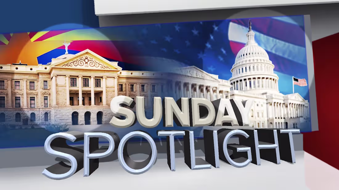 Cover image for Political Reporting / Anchoring / Editing