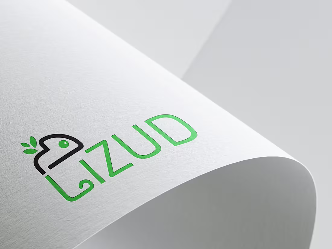 Cover image for Lizud Brand Identity Design