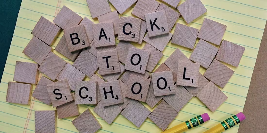 Cover image for Back to School with Waste of Time Faculty Meetings and Yearly T…