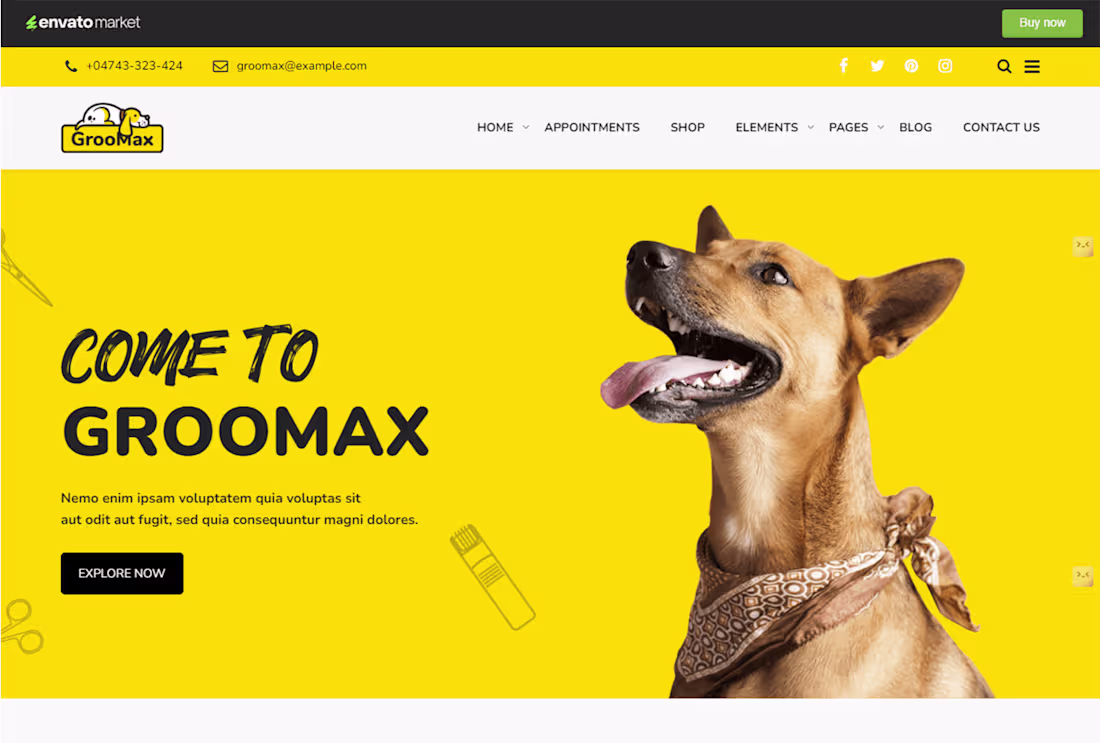 Cover image for Pets  Care / Grooming website