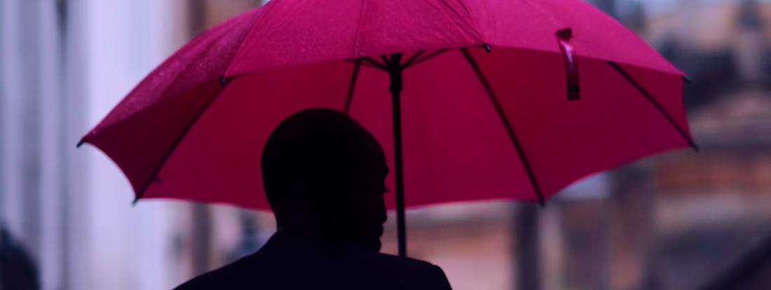 Cover image for Vero | Intelligence Insurance Solutions (2020)