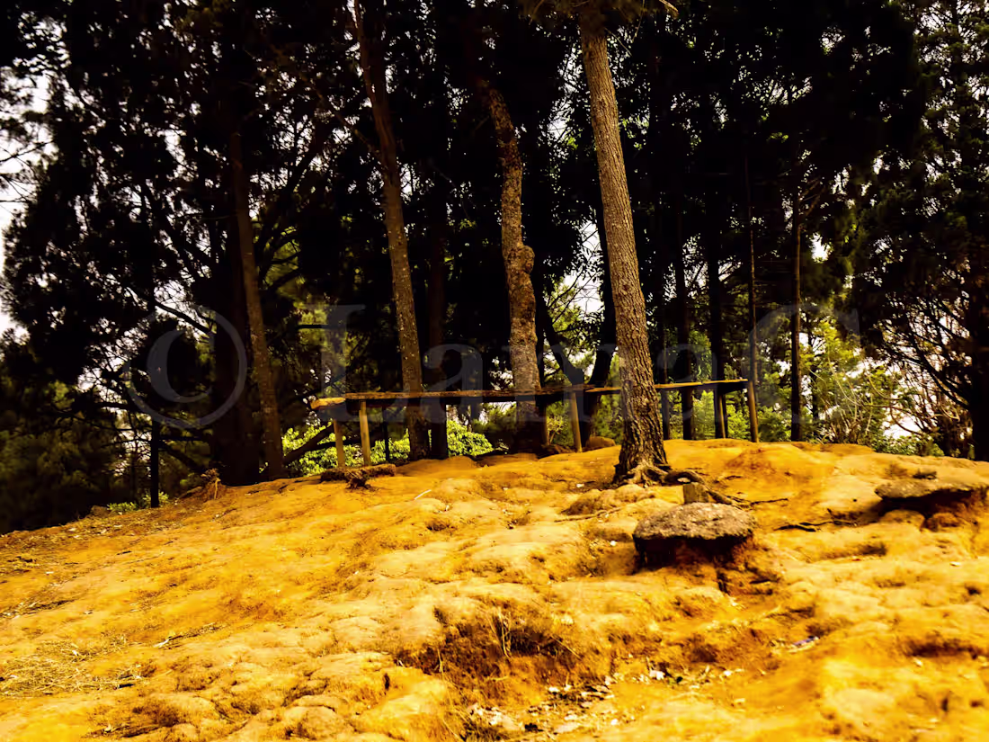 Cover image for Building Your Online Sales Team Guide