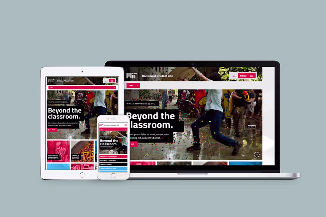 Cover image for MIT Division of Student Life