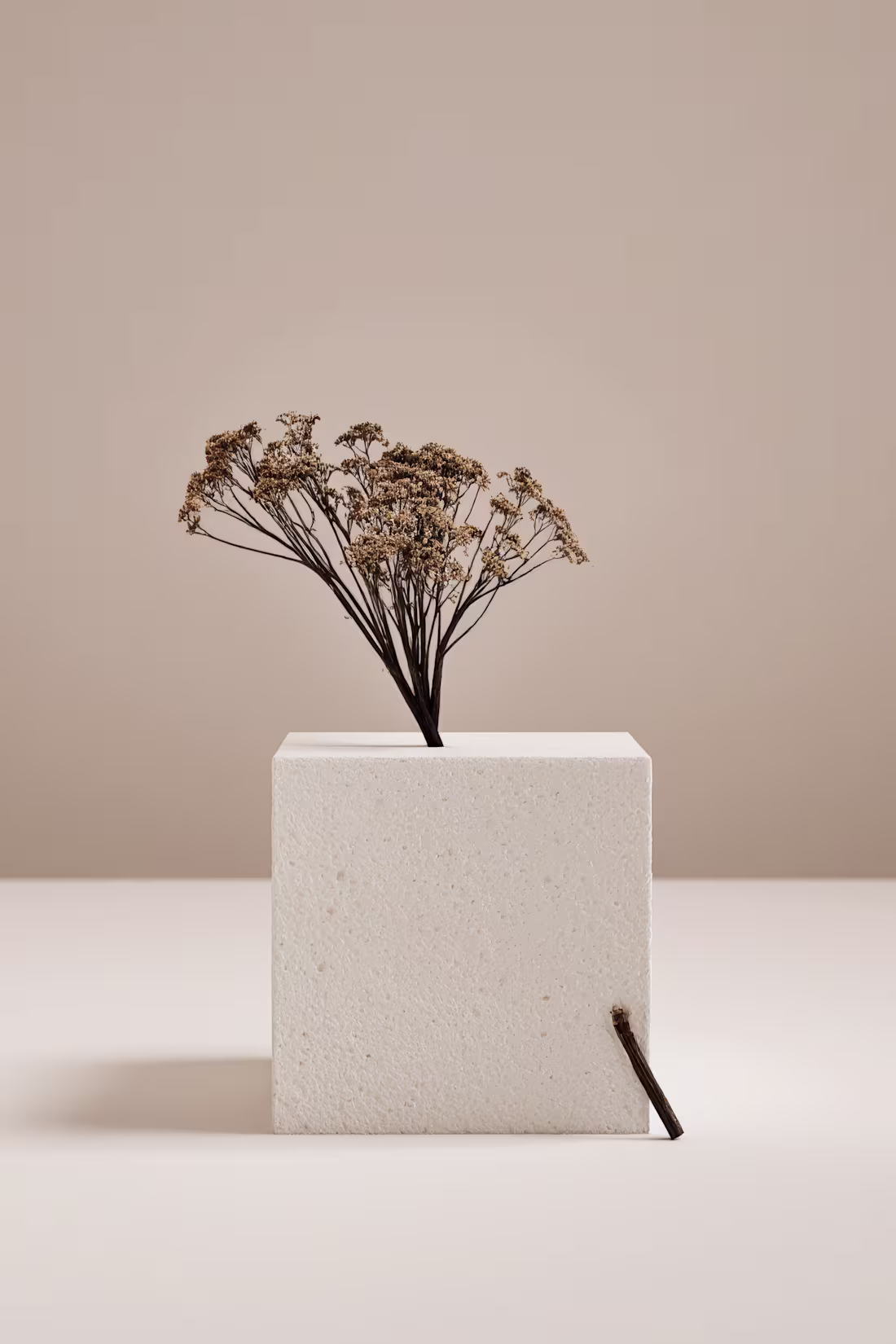 Cover image for Capture Timeless Beauty with Professional Photography Services