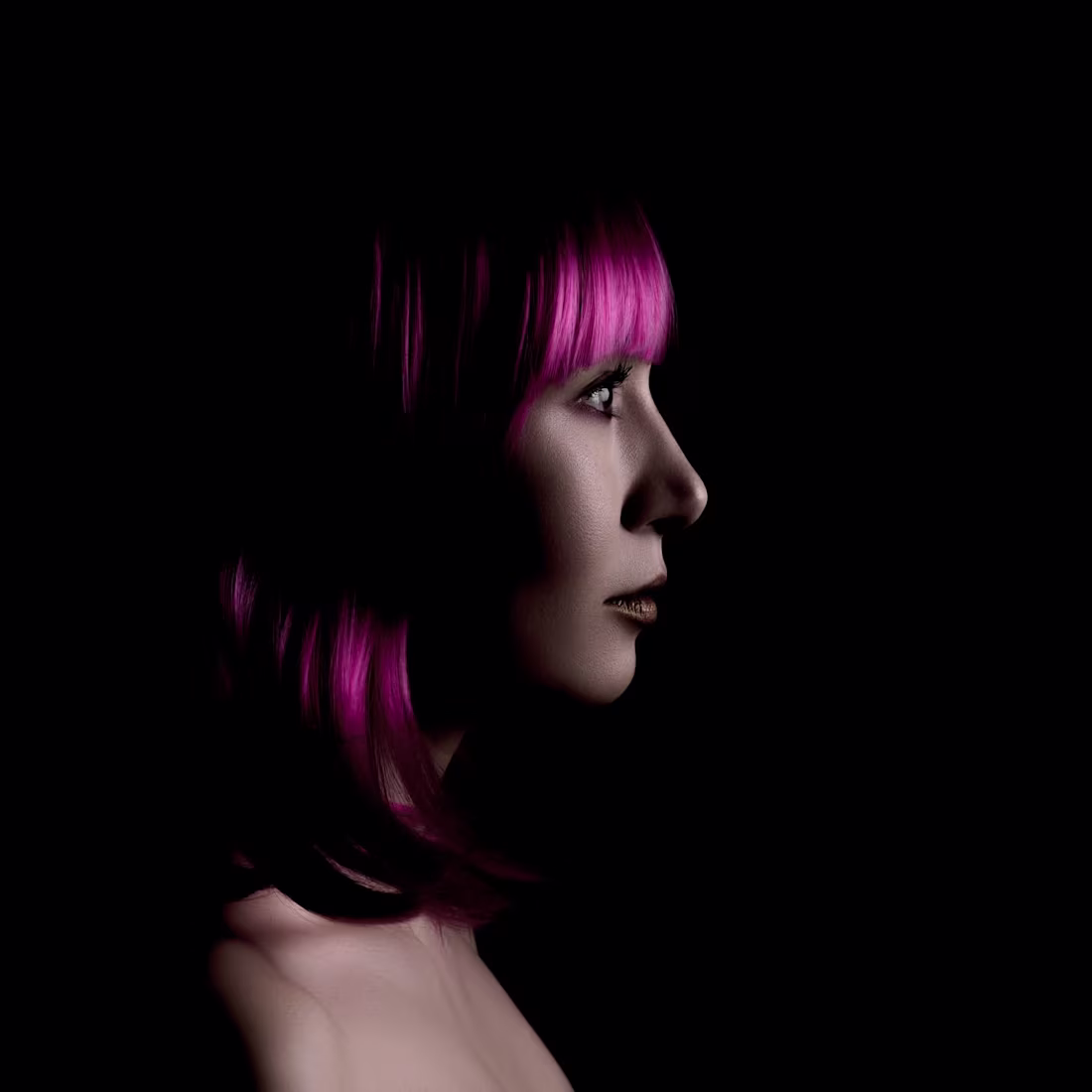 Cover image for Studio Photography