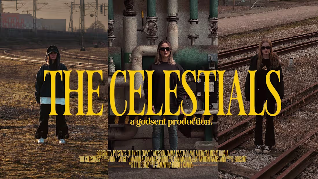 Cover image for THE CELESTIALS