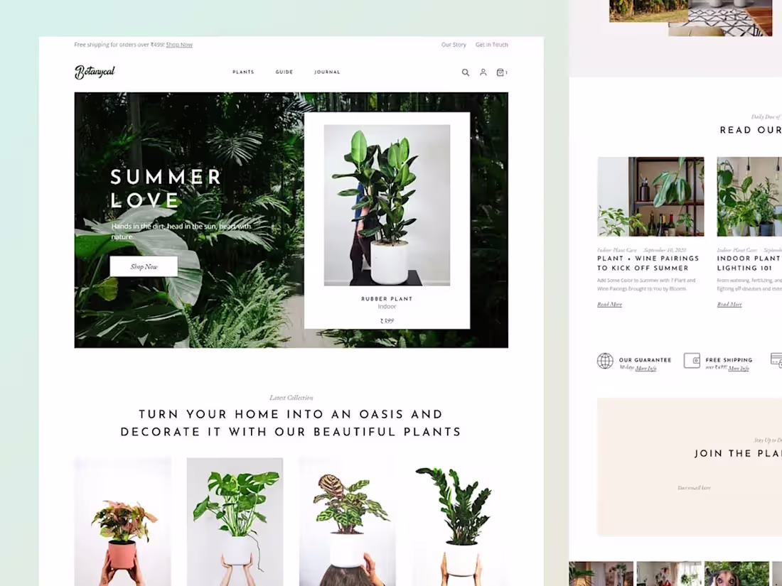 Cover image for Designing an e-commerce website — Botanycal