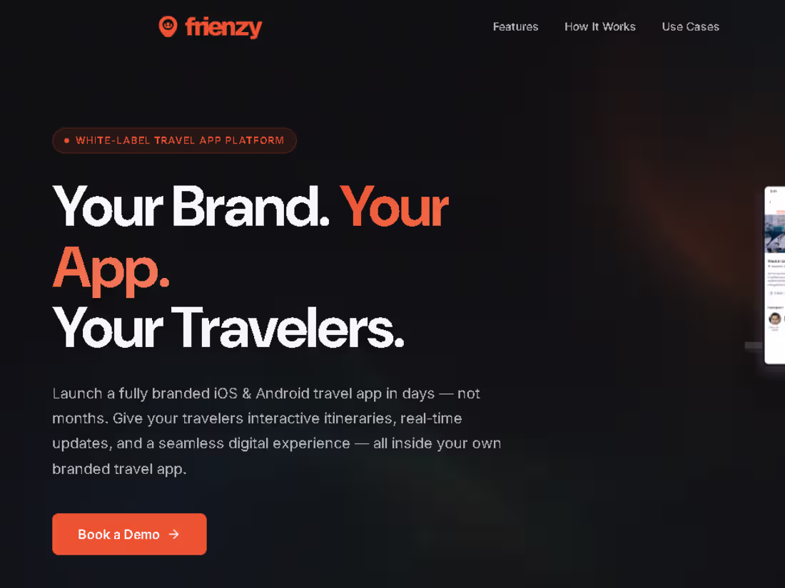 Cover image for Frienzy Development