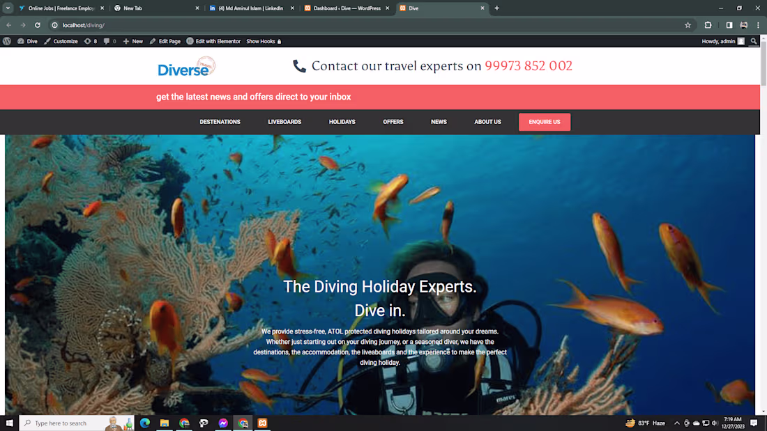 Cover image for Diving Holidays Website