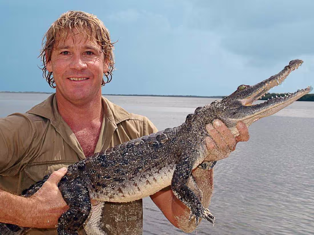 Cover image for Remembering the Crocodile Hunter: 10 Years On - YouTube