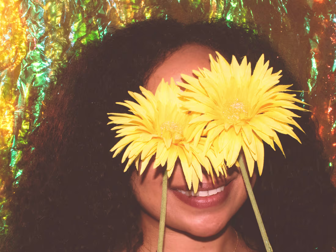 Cover image for Alexis Creates Blog