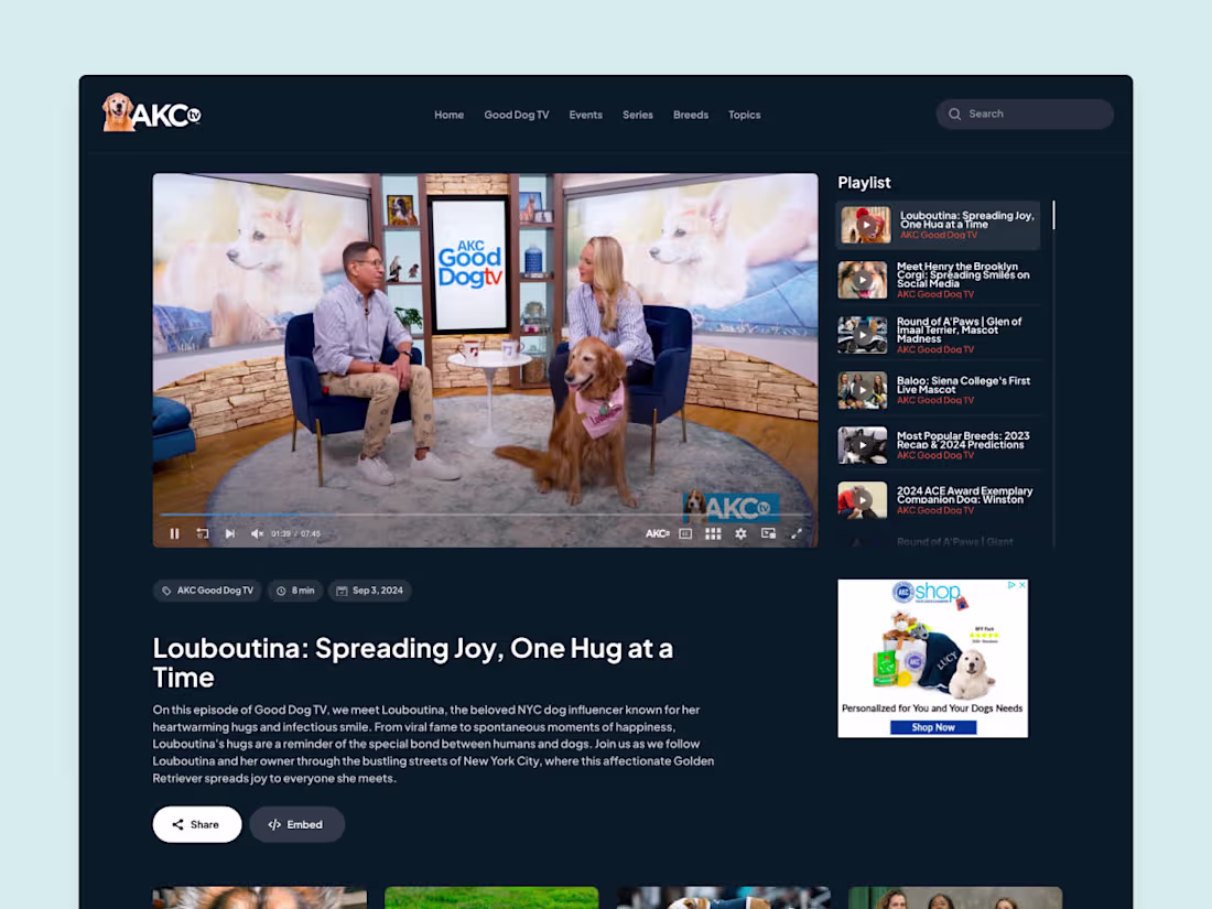 Cover image for Multi-channel streaming platform