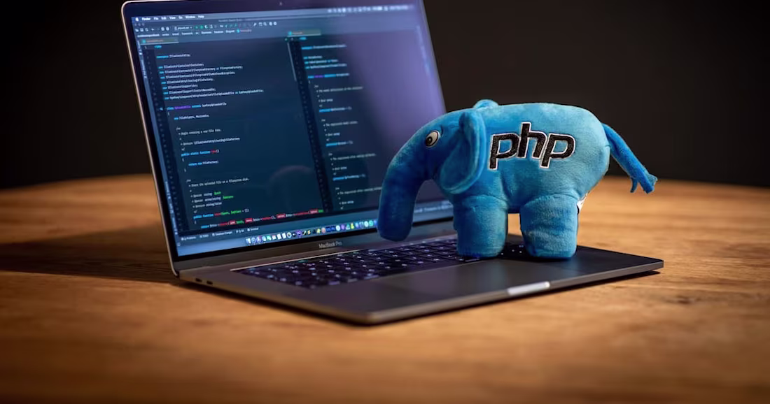 Cover image for Best Languages to Learn for Web Development