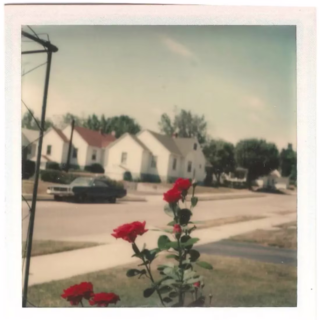 Cover image for Ghost Produced Remix of 'ABCDEFU' by Gayle