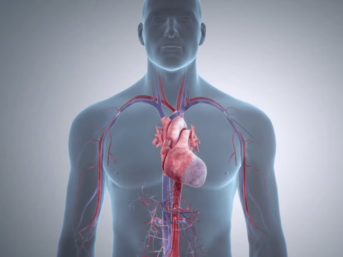 Cover image for 3D Medical Video - Complete 3D Production