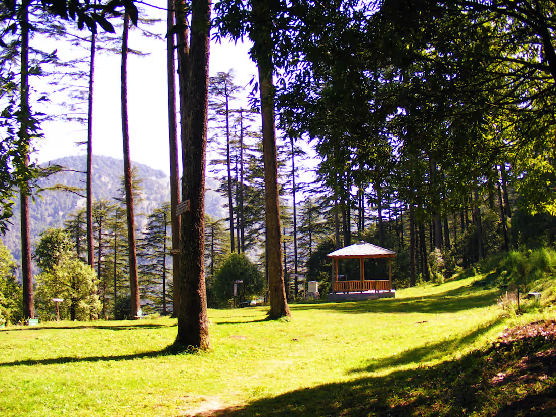 Cover image for Rishikesh to Dhanaulti Cab