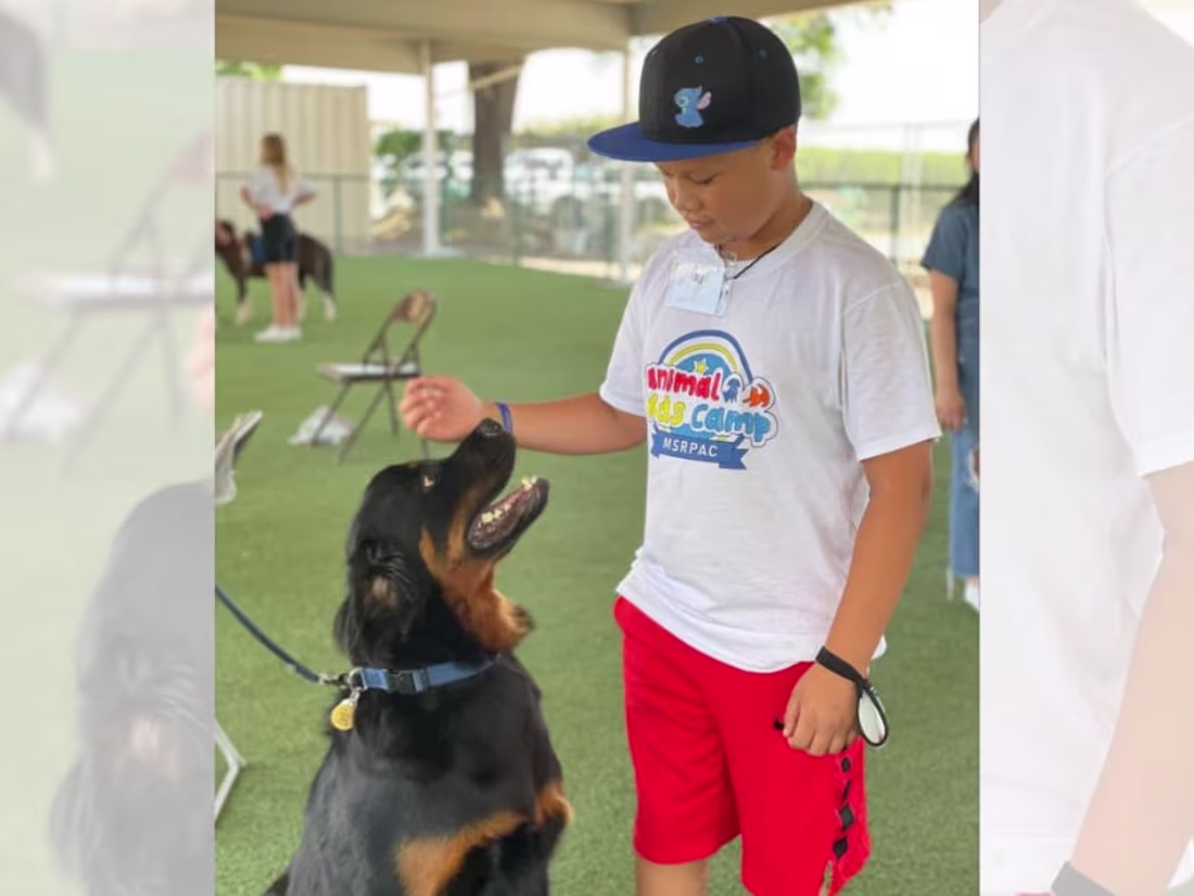 Cover image for Community spotlight: The Mary S. Roberts Pet Adoption Center - …