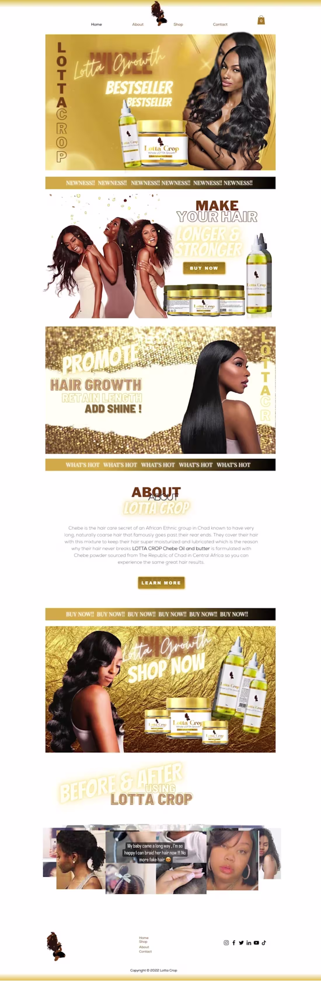 Cover image for Lotta Crop