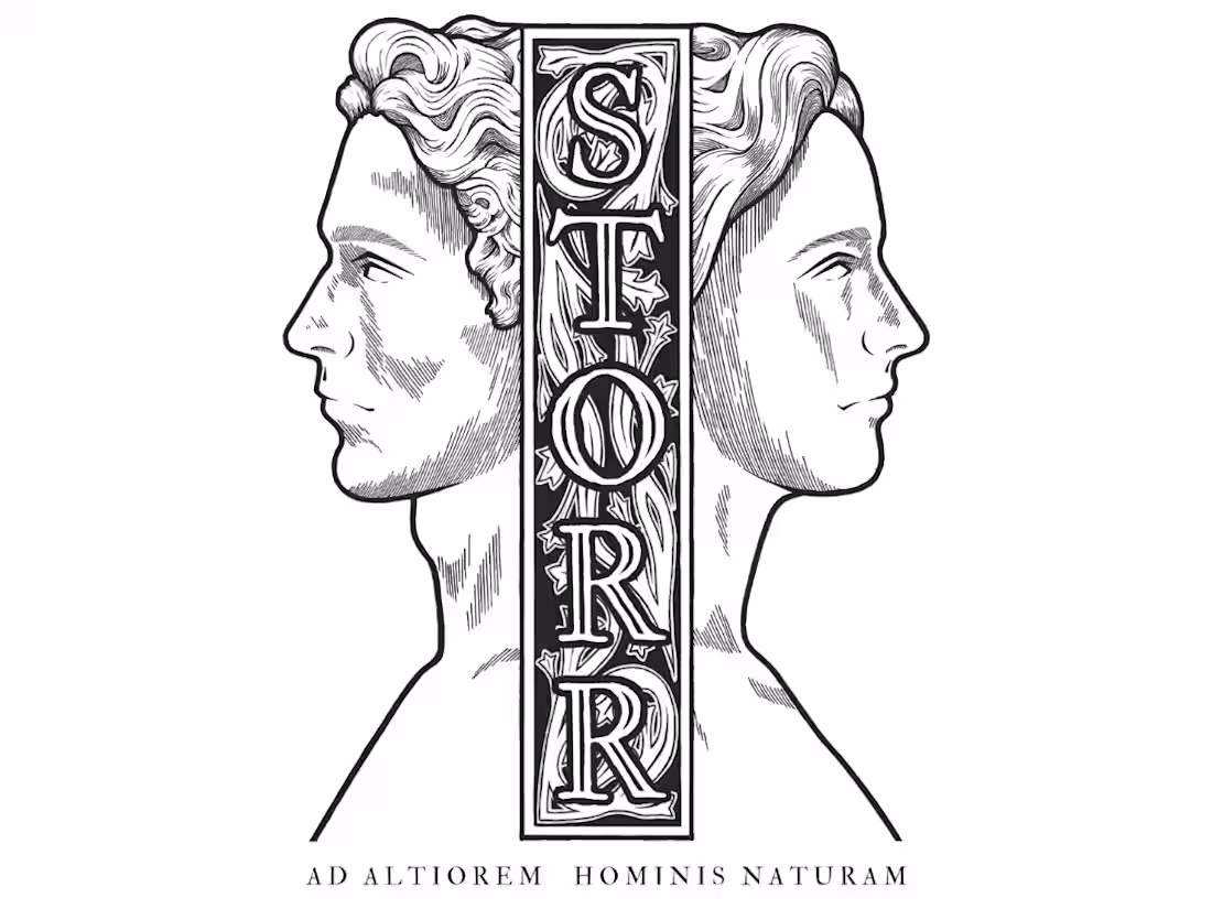 Cover image for Brand Design — STORR