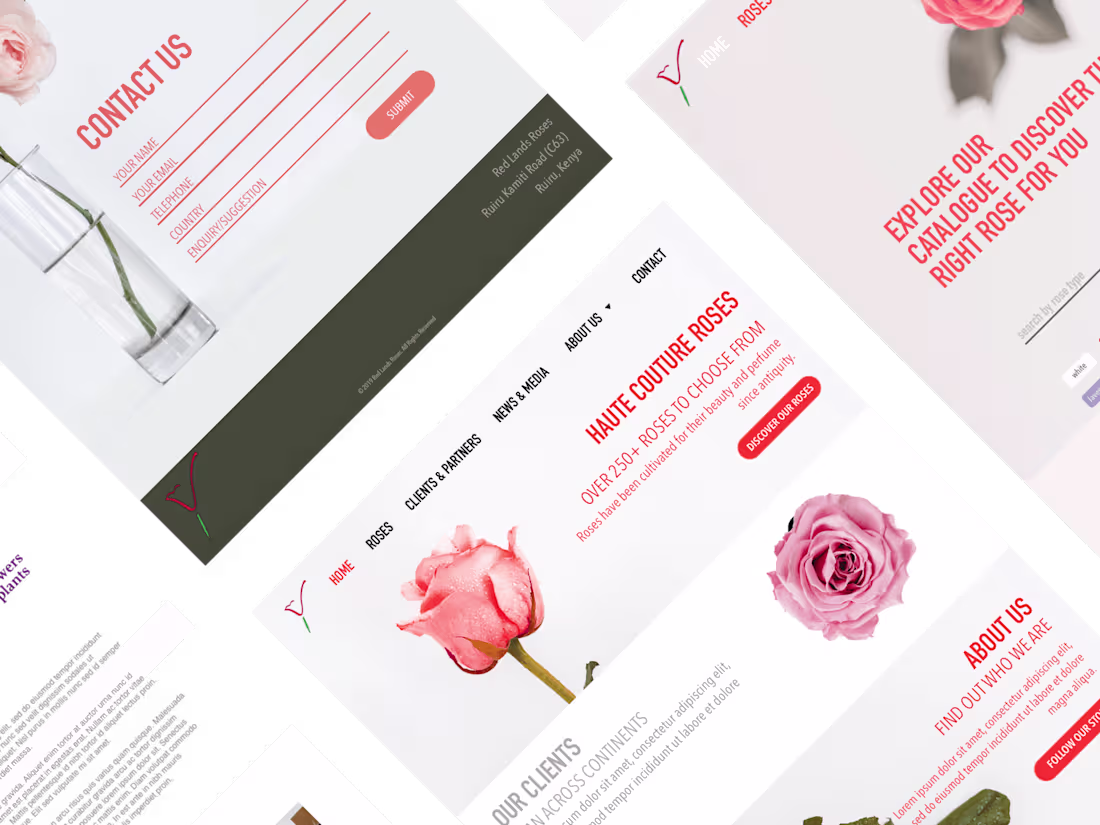 Cover image for Red Lands Roses