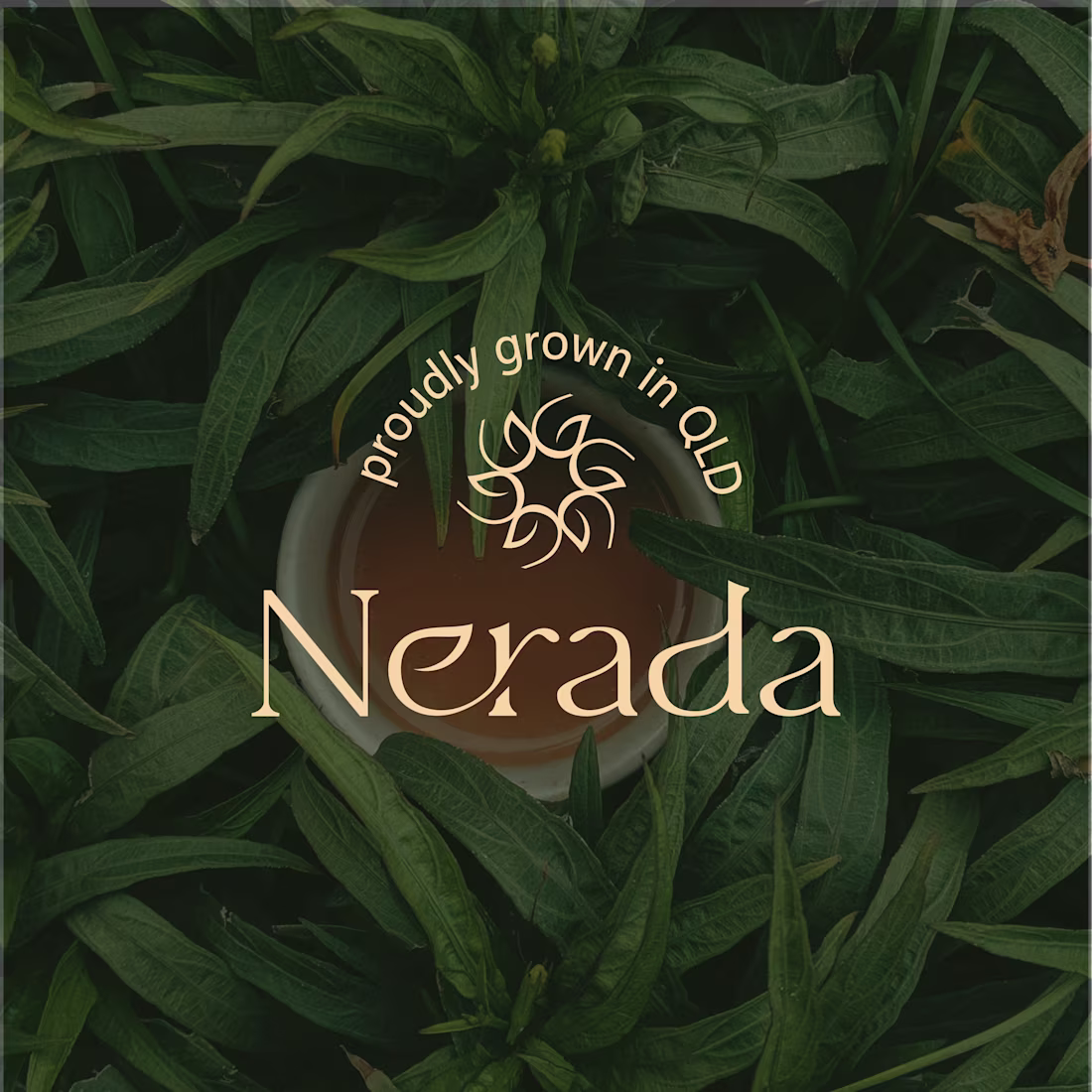 Cover image for Nerada Tea Branding & Packaging Design A complete rebranding...