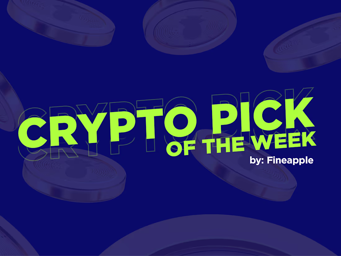 Cover image for Fineapple Newsletter | Mailing Design