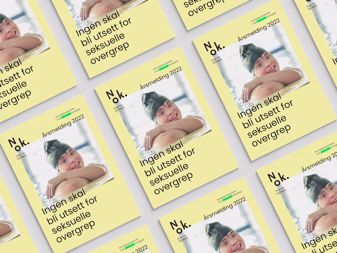 Cover image for Nok. Årsmelding