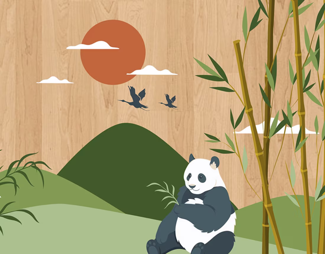 Cover image for Bamboo 6 in 1 Organizer Packaging Design