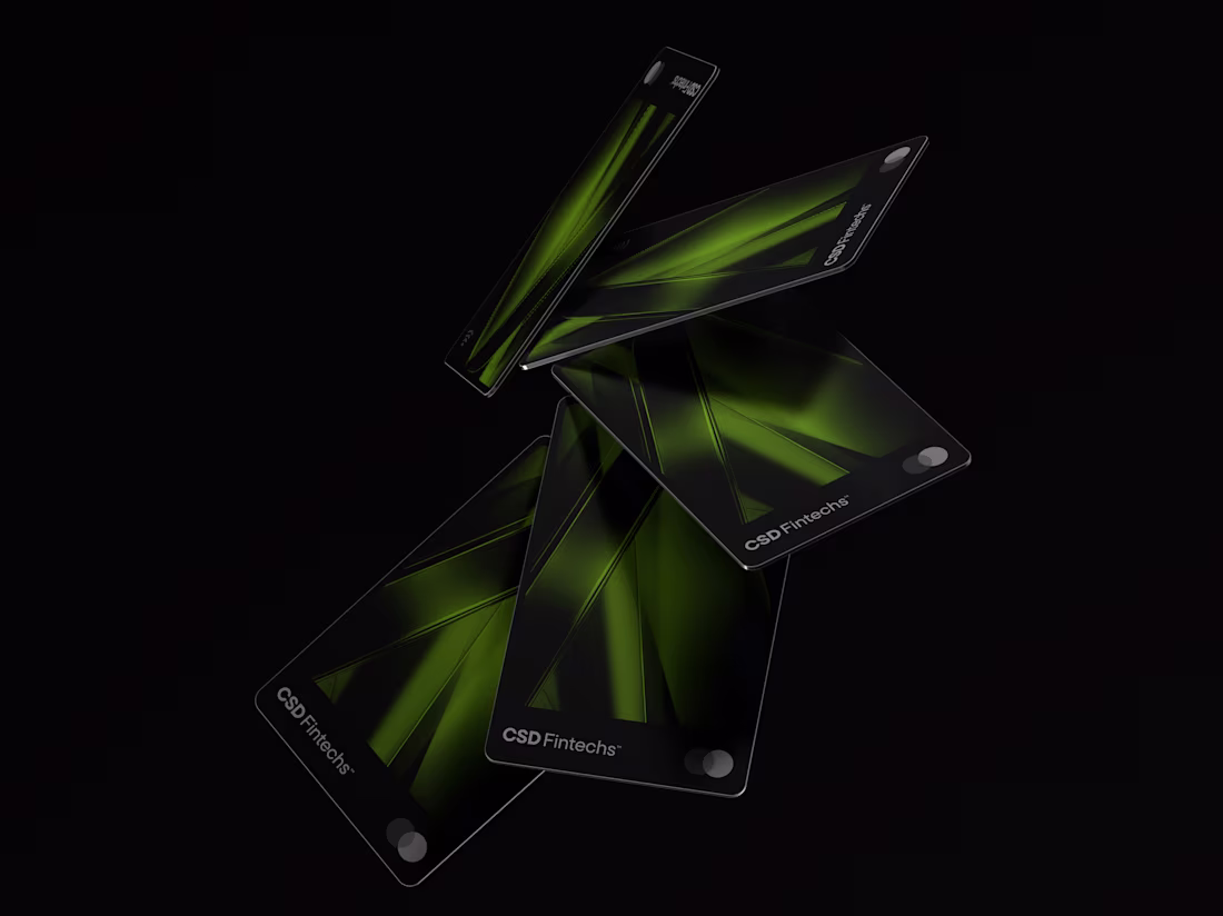 Cover image for CSD Fintechs