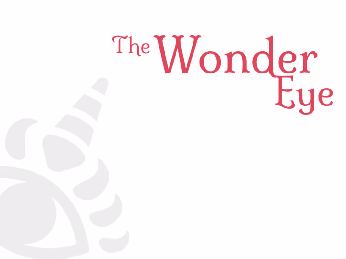 Cover image for The Wonder Eye