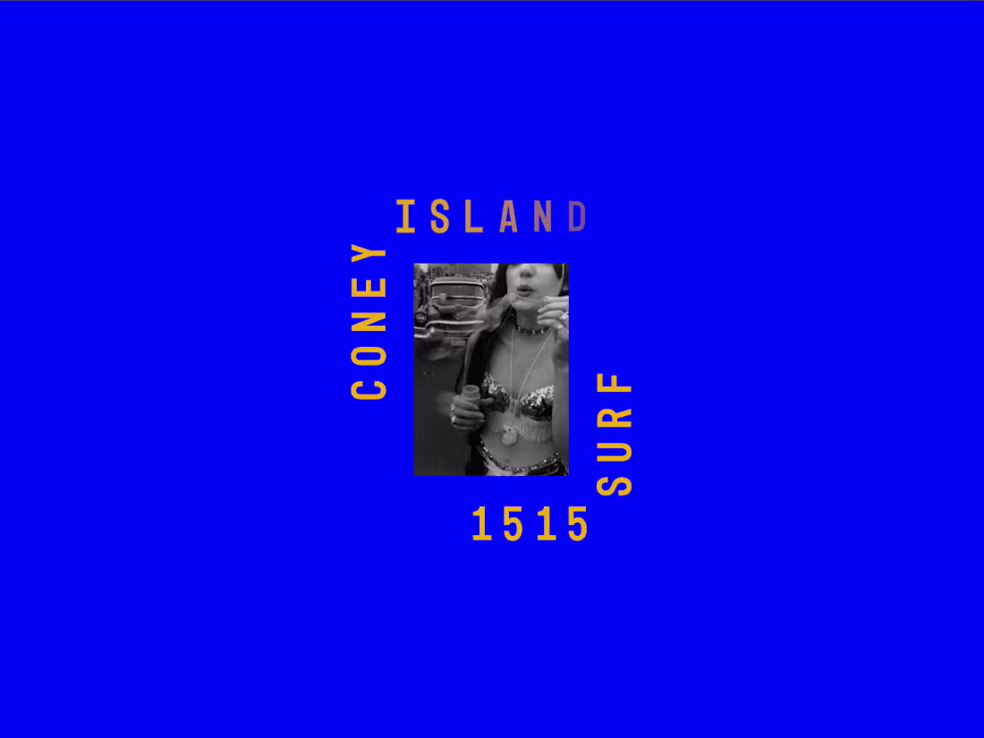 Cover image for 1515Surf | 3D exploration platform