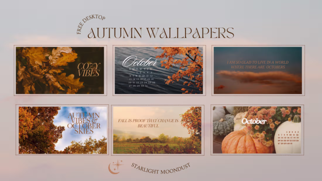 Cover image for Autumn Vibes Wallpapers! October Edition.