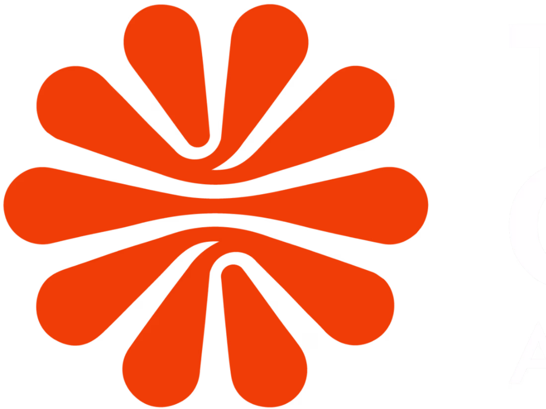 Cover image for Tech Connect Africa - Website