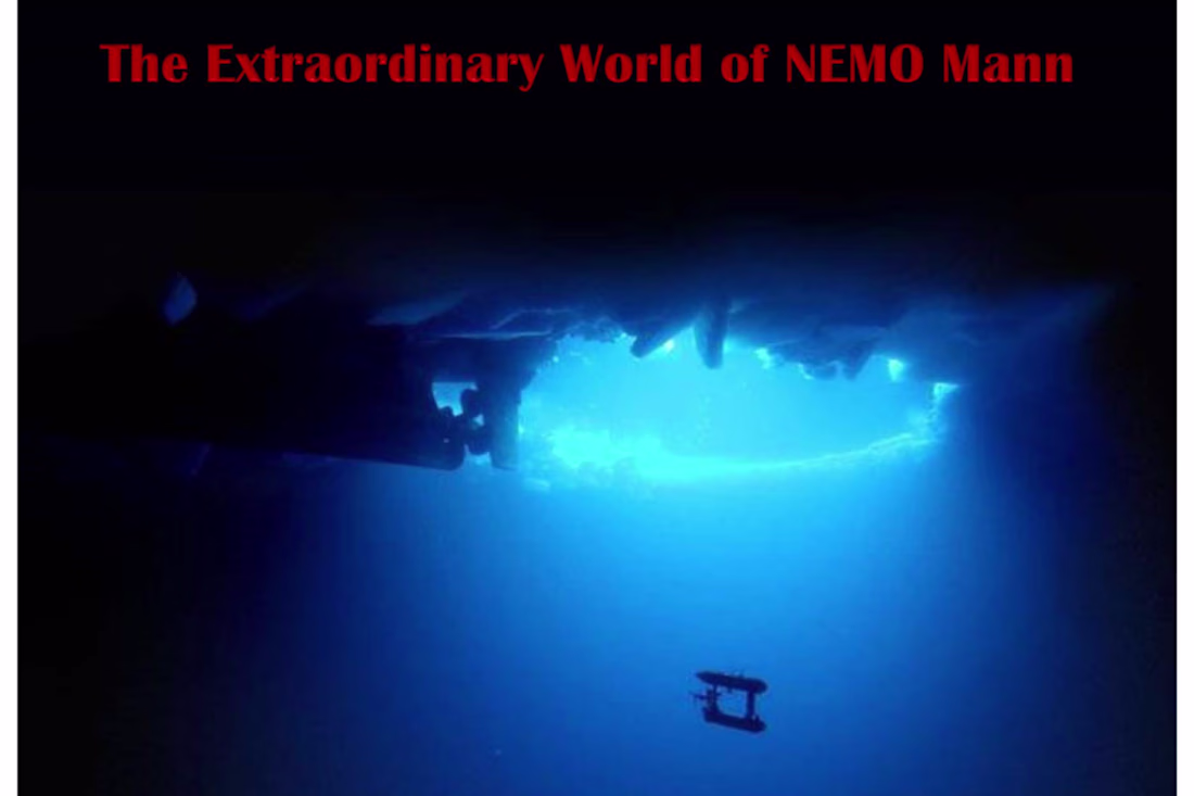 Cover image for The Extraordinary World of NEMO Mann