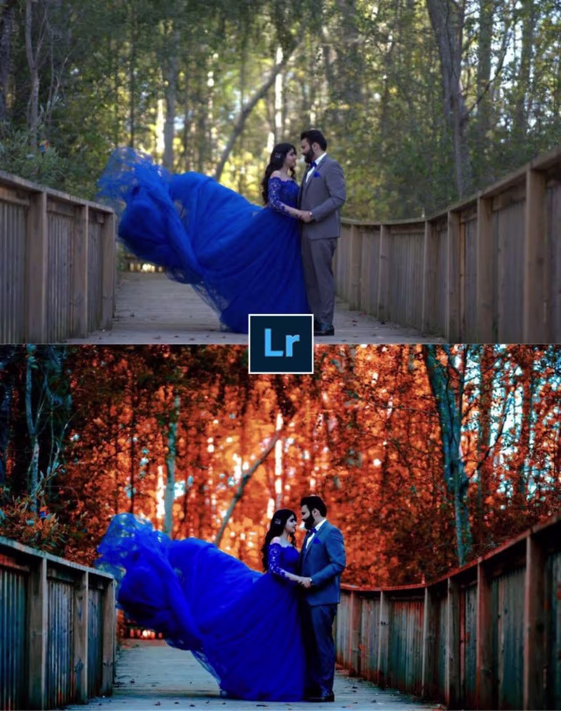 Cover image for Cinematic Wedding 