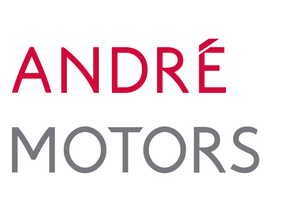 Cover image for ANDRE MOTORS