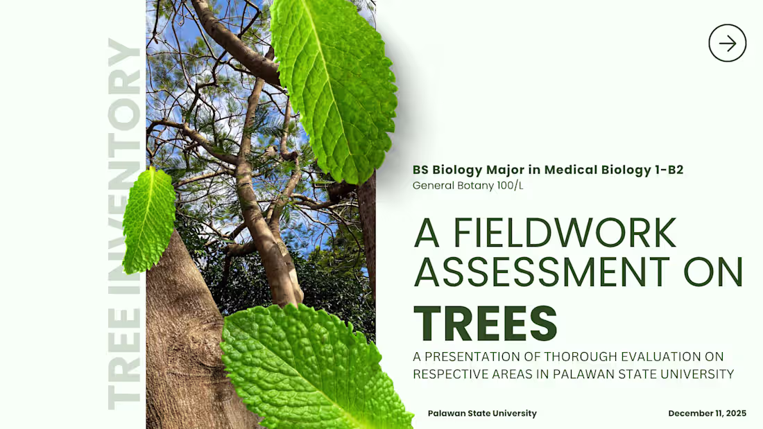 Cover image for Laboratory Report Presentation Deck for