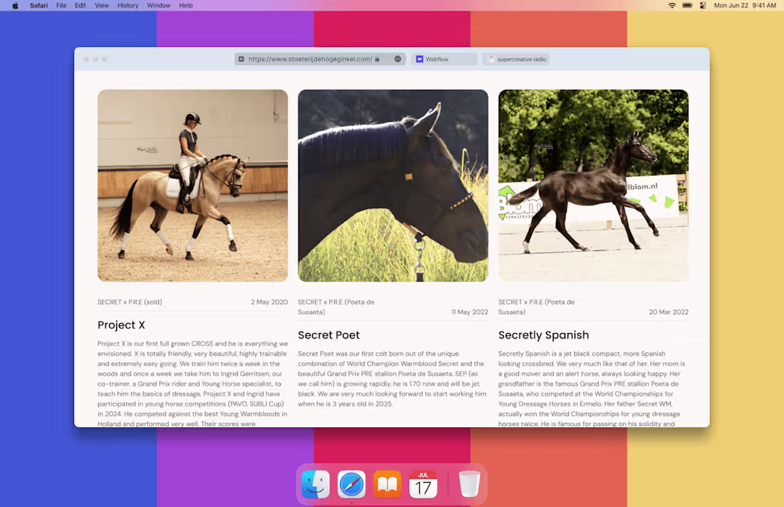 Cover image for Stoeterij De Hoge Ginkel - Equestrian Breeding Site Redesign