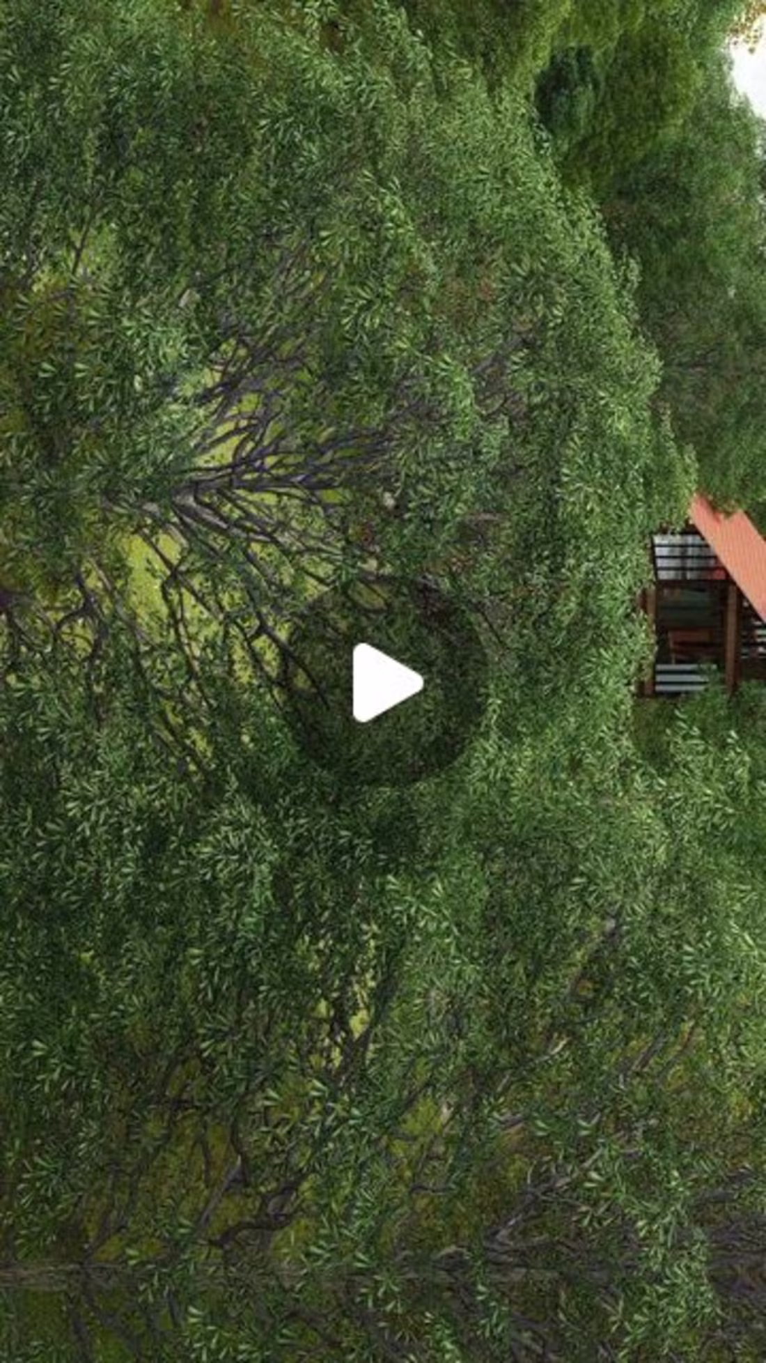 Cover image for connatearchitects on Instagram: ”#nature #architecture #archite…