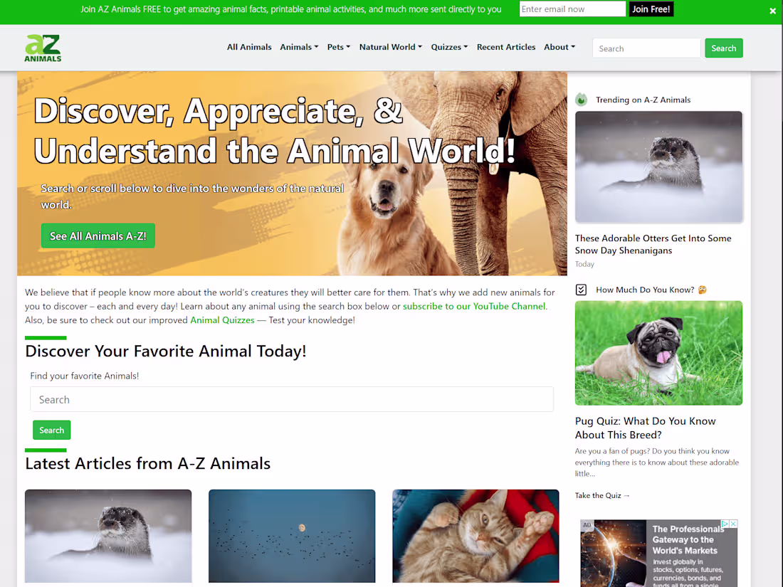 Cover image for WordPress animals encyclopedia