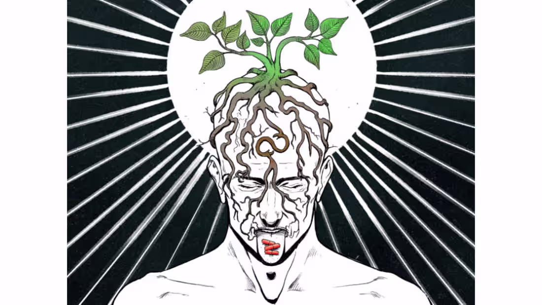 Cover image for Series of illustrations created to