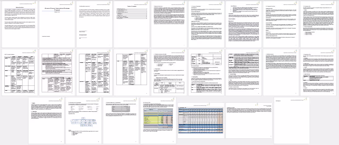 Cover image for Management Report