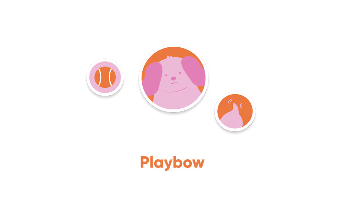 Cover image for Playbow
