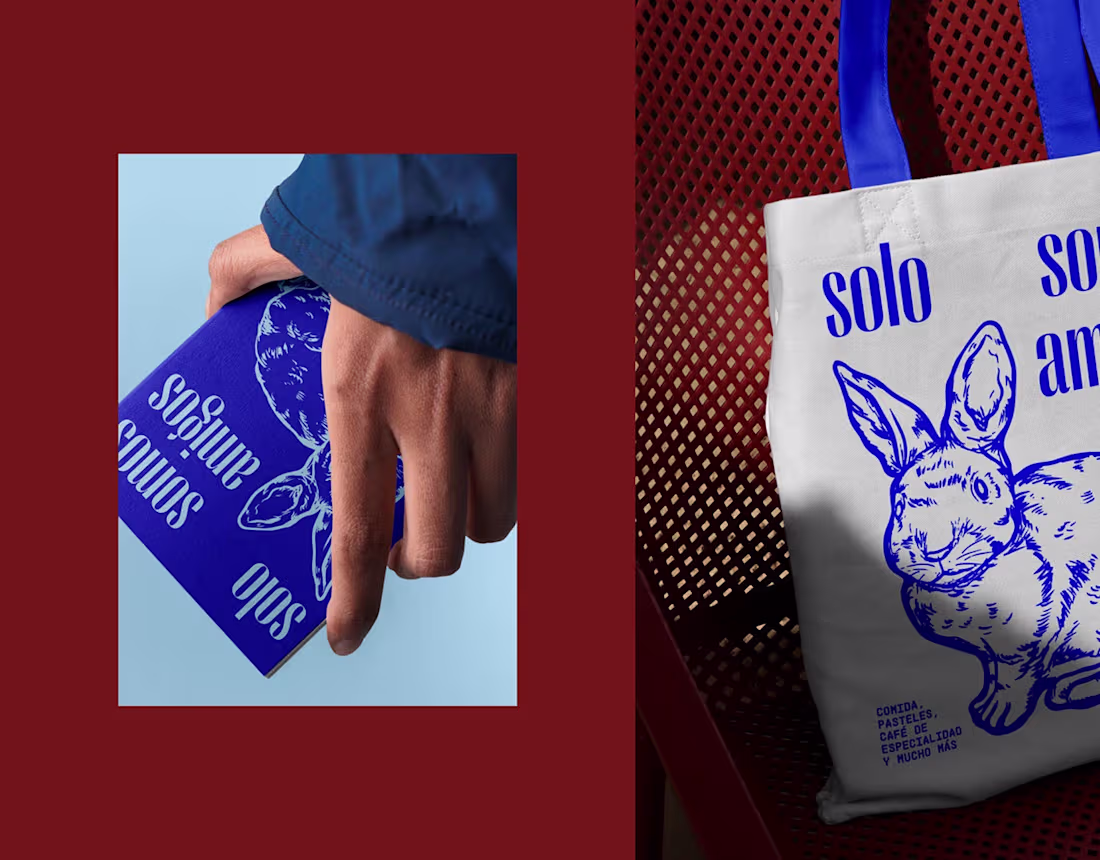 Cover image for Solo Somos Amigos