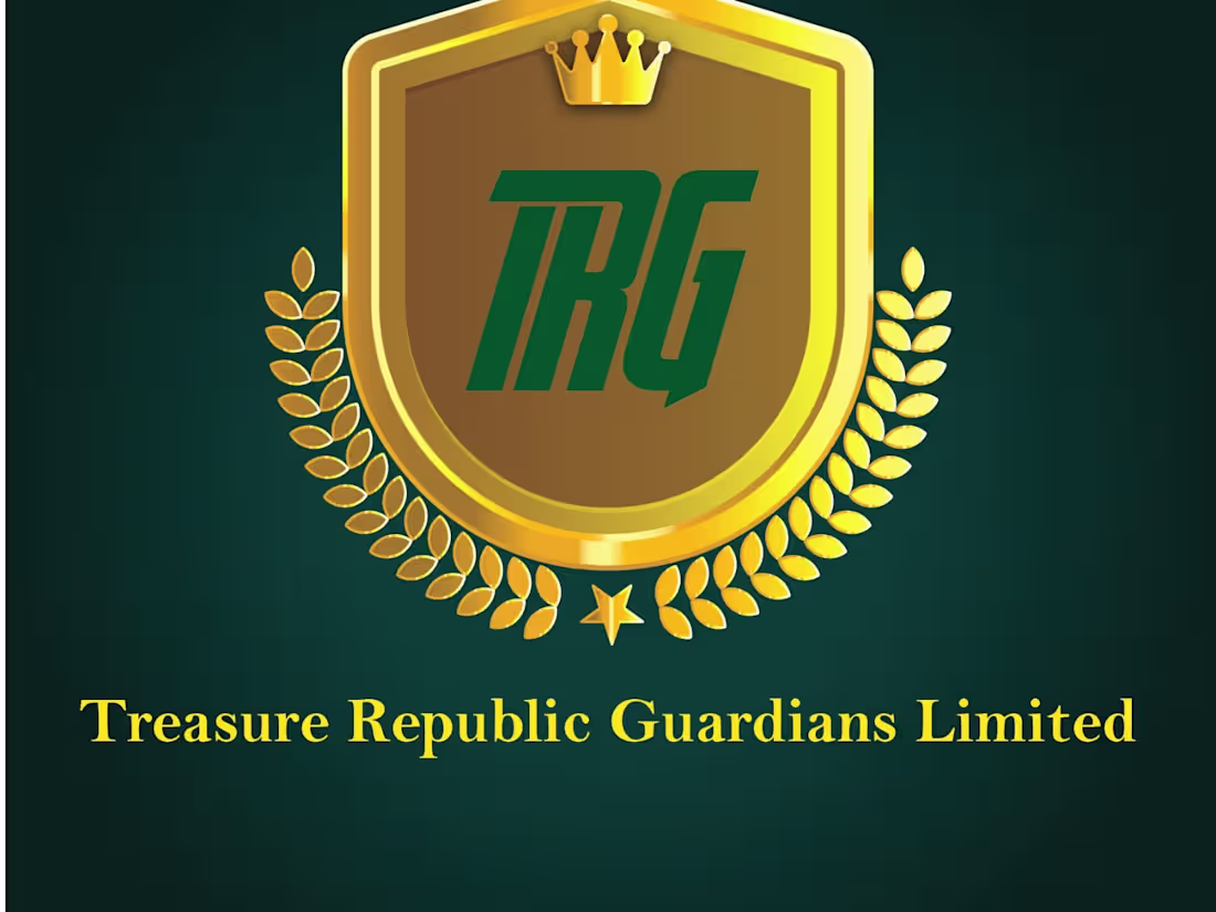 Cover image for Pressure Public Guardians