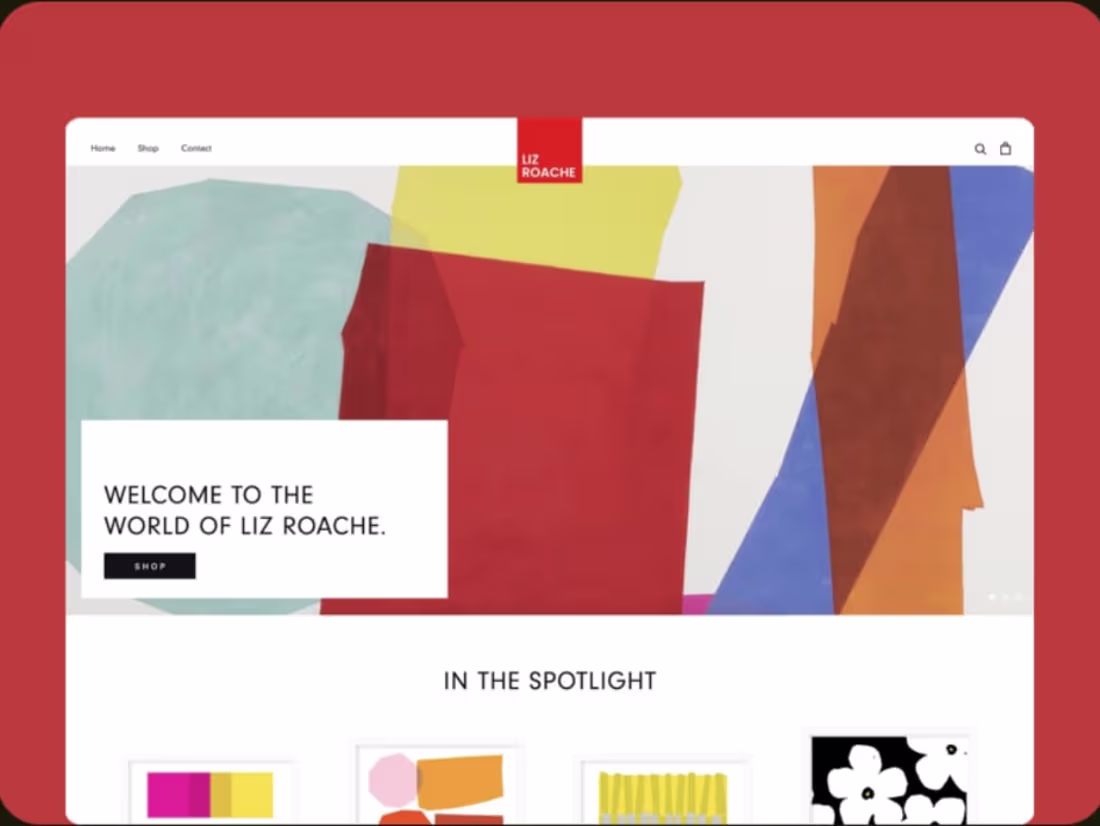 Cover image for Liz Roache